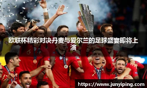 欧联杯精彩对决丹麦与爱尔兰的足球盛宴即将上演